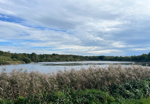 23-09-21 13-35-38 7200